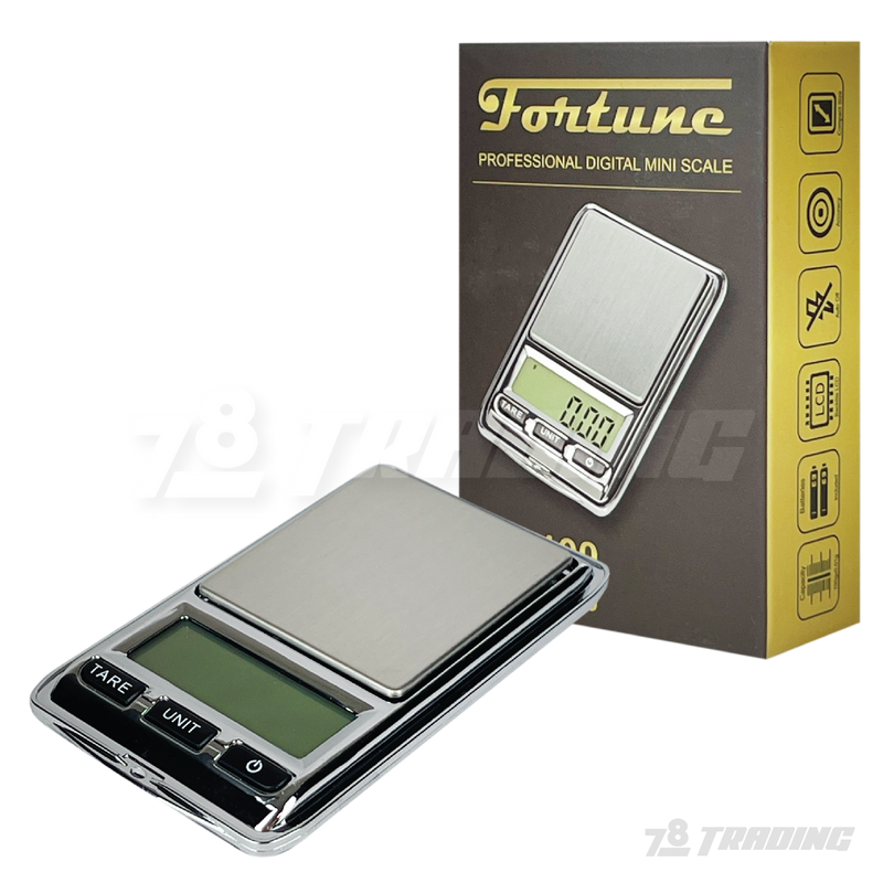 Fortune JC-100 100g x 0.01g