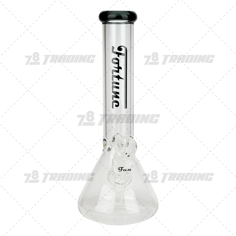 Simple Colored Logo Beaker 10inches FG103804N