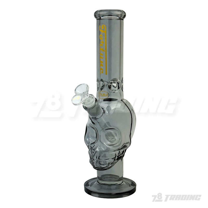 Metallic Chrome 14inches Skull Shape Base Water Pipe - SK144407