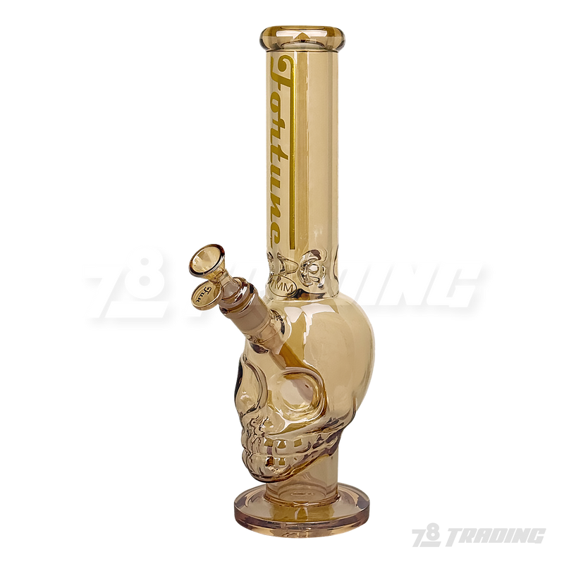 Metallic Chrome 14inches Skull Shape Base Water Pipe - SK144407