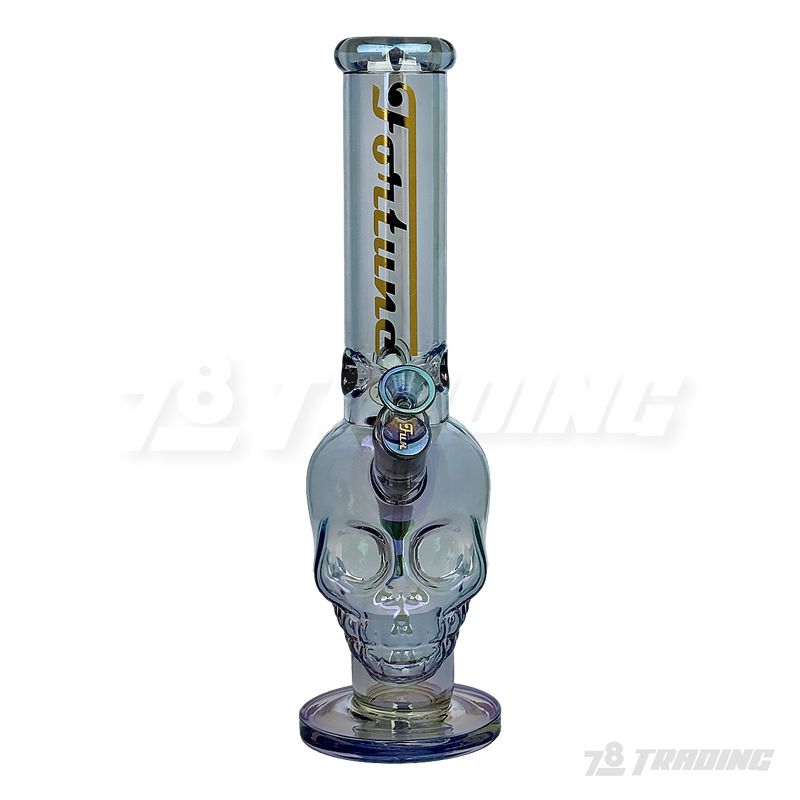 Metallic Chrome 14inches Skull Shape Base Water Pipe - SK144407