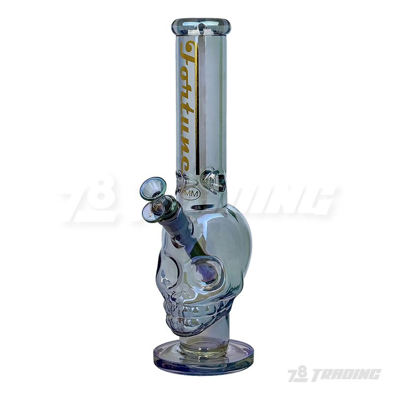 Metallic Chrome 14inches Skull Shape Base Water Pipe - SK144407