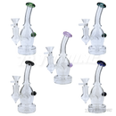 Simple Color 6" Rig - GP1883