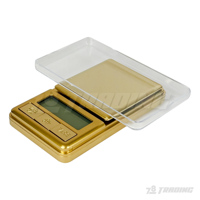 Fortune DJ-100 100 x 0.01g