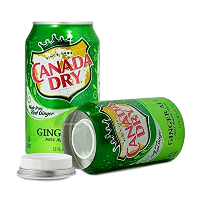 Stash Can - Canada Dry