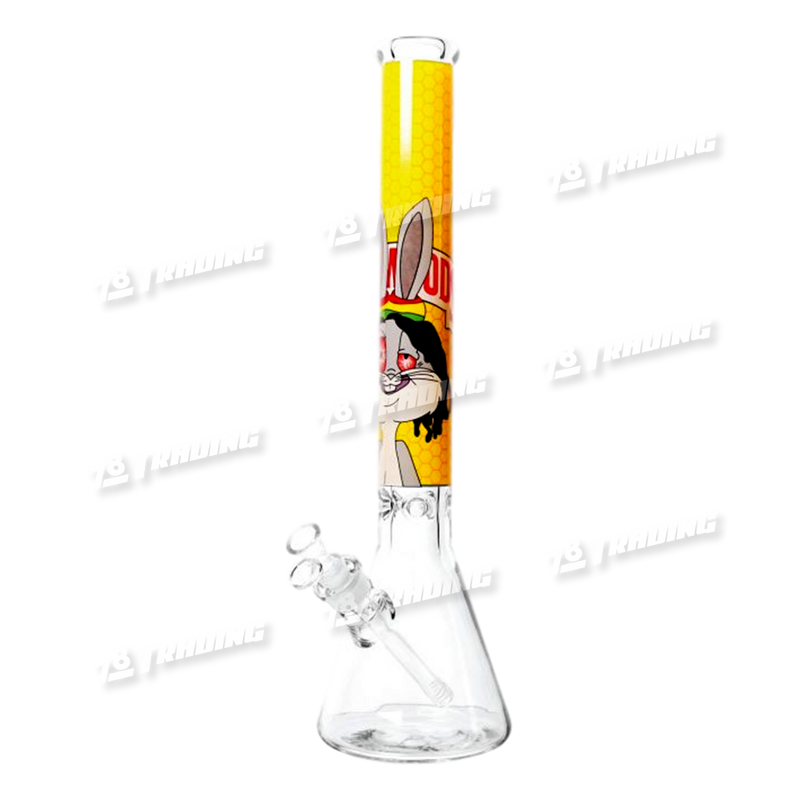 Non Brand Cartoon Decal Beaker 20inch 9mm