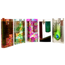 Hard Acrylic Dugout with One Hitter 4inch See Through